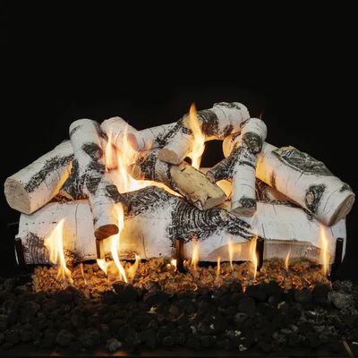 Grand Canyon: Quaking Aspen See-Through Gas Log Set 18in