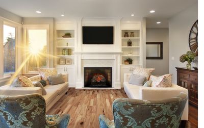 Napoleon: Woodland 18 Electric Log Set NEFI18H