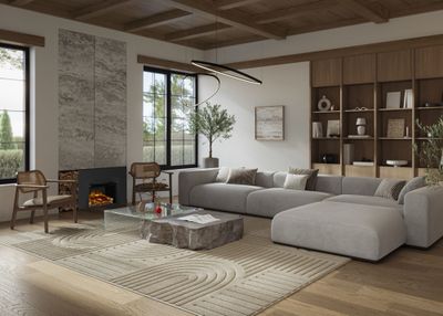 Napoleon: Rosedale Electric Built-in NEFB26H