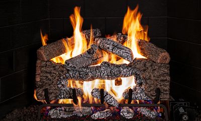 RH Peterson: Charred Cinder Oak Logs - 18/20"