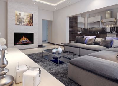 Modern Flames: Orion 30" Traditional Heliovision Fireplace