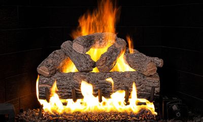 RH Peterson: Golden Oak Designer Plus Flame Enhanced Logs - 18/20"