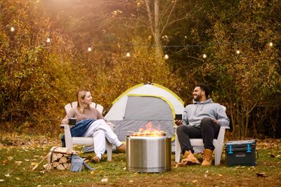 Napoleon: Timberwolf Wood Fire Pit, Large (22"), Stainless Steel